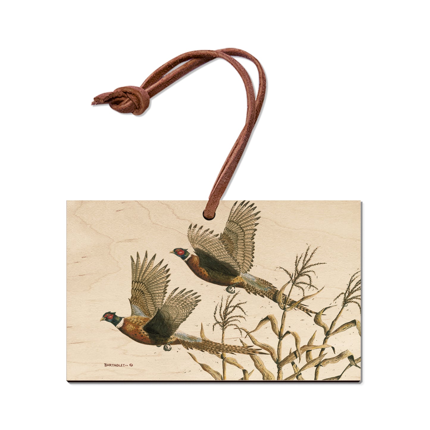 Bartholet's Long Tails  - Classic Edge