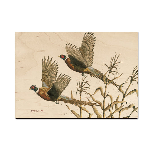 Bartholet's Long Tails  - Classic Edge