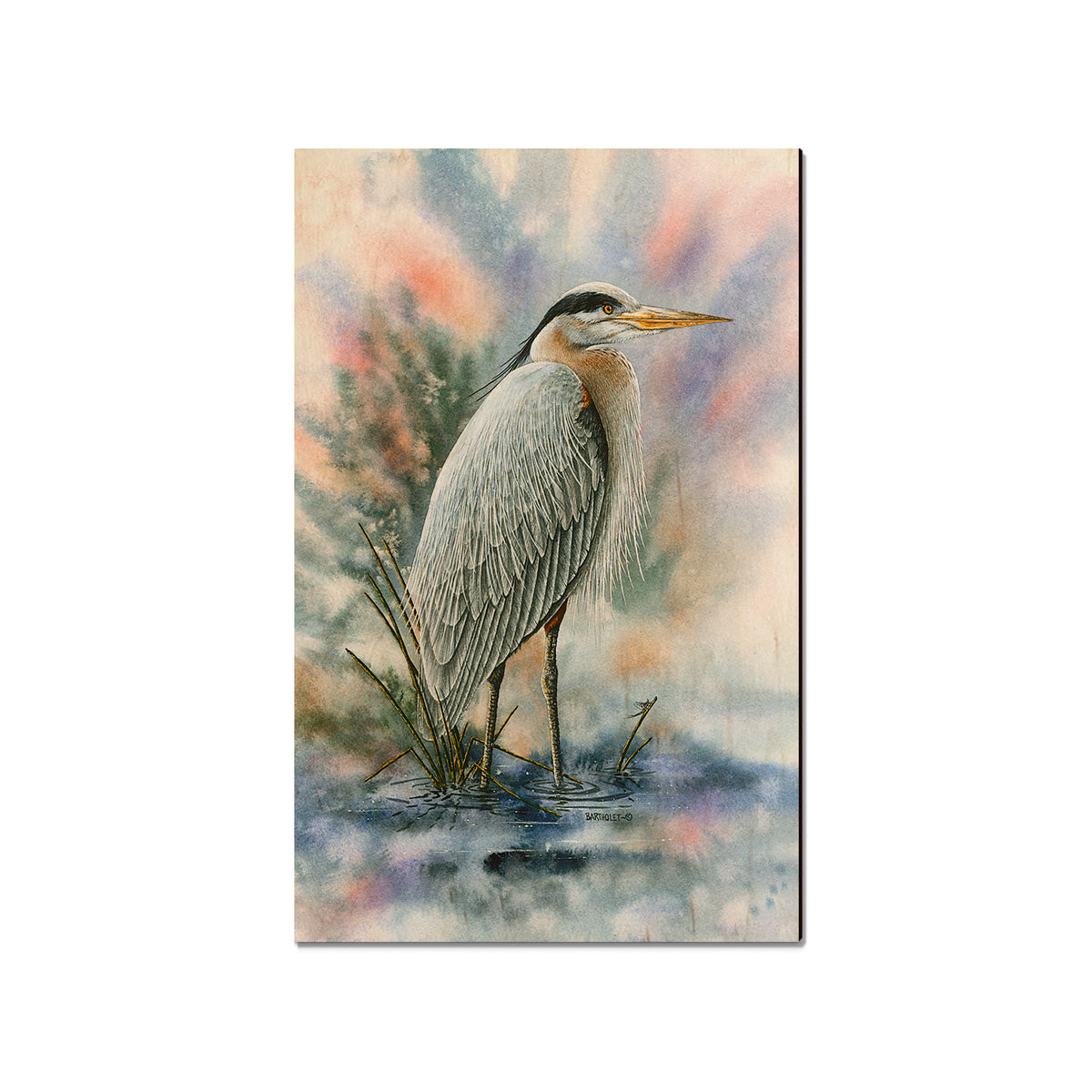 Bartholet's Marsh Master  - Classic Edge