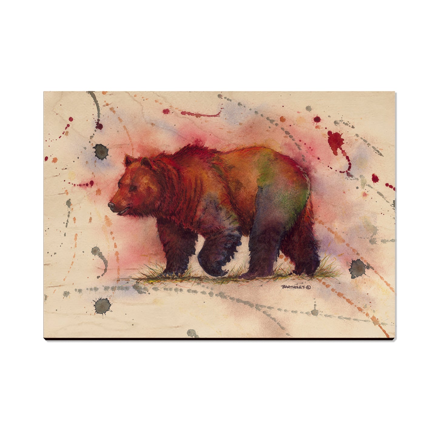 Bartholet's Mr. Grizzly  - Classic Edge