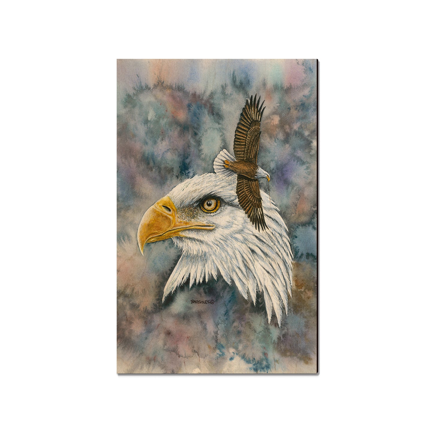 Bartholet's Nobility  - Classic Edge