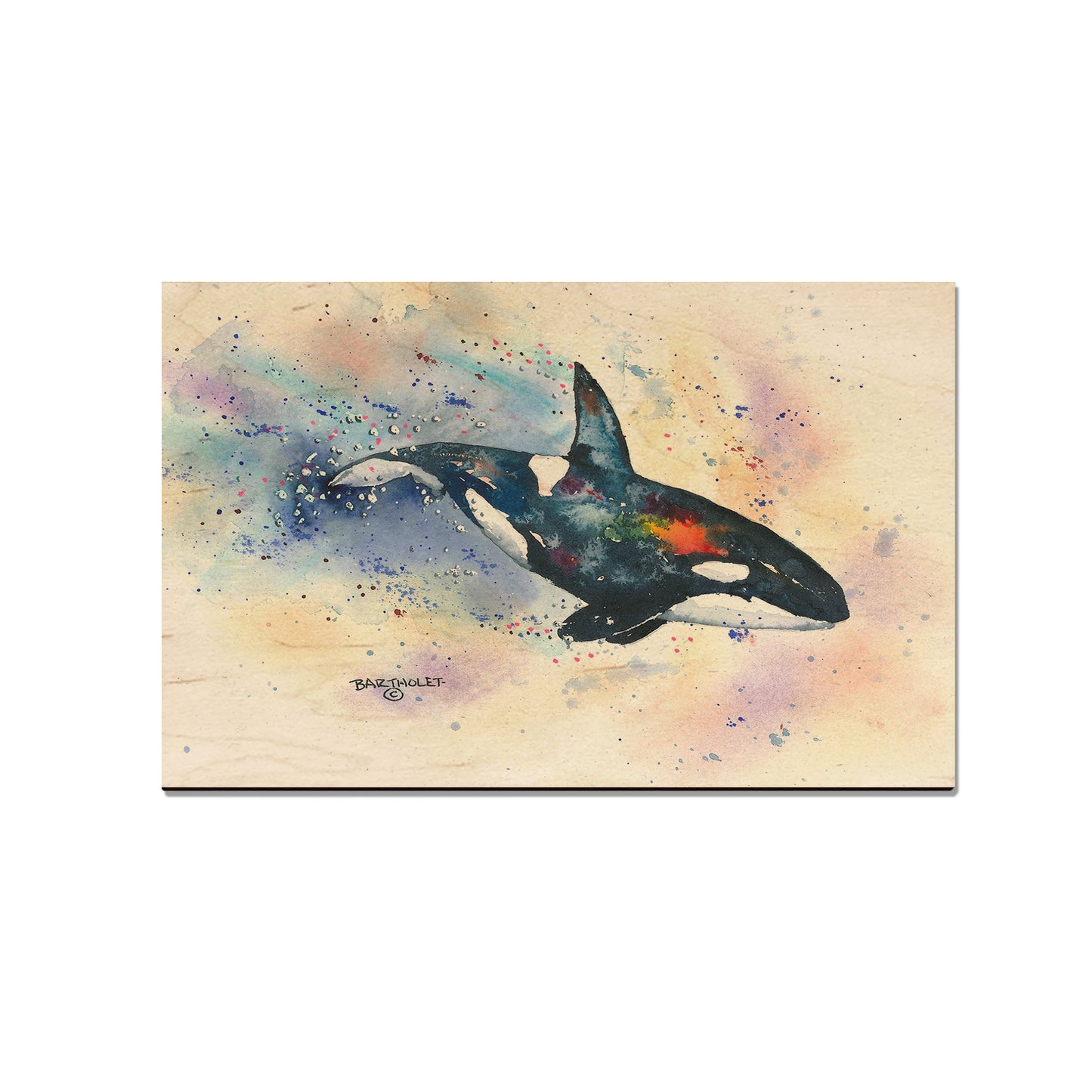 Bartholet's Orca  - Classic Edge