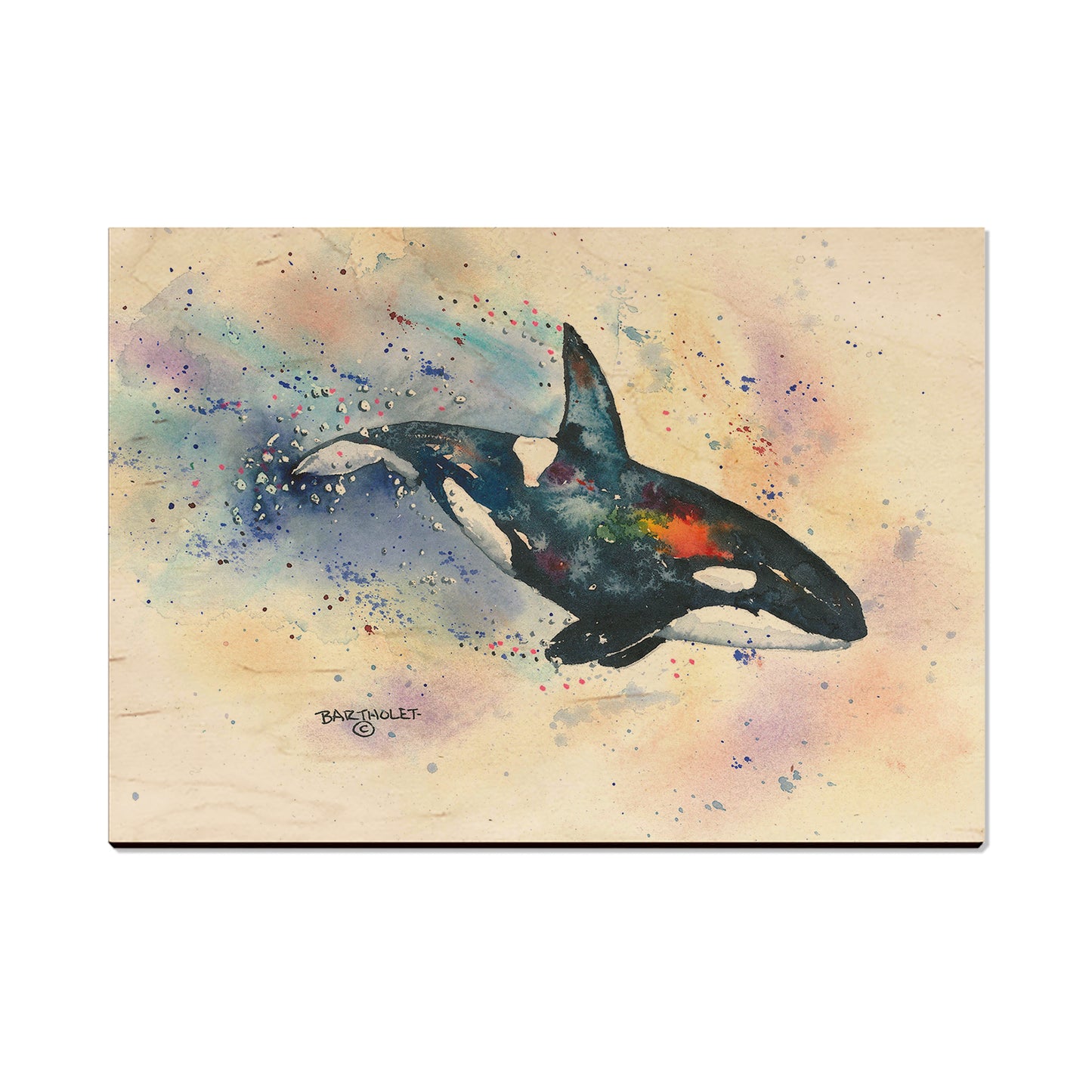 Bartholet's Orca  - Classic Edge