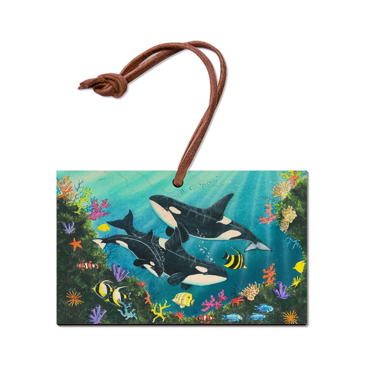 Bartholet's Orca Joy  - Classic Edge