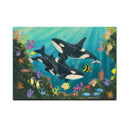 Bartholet's Orca Joy  - Classic Edge