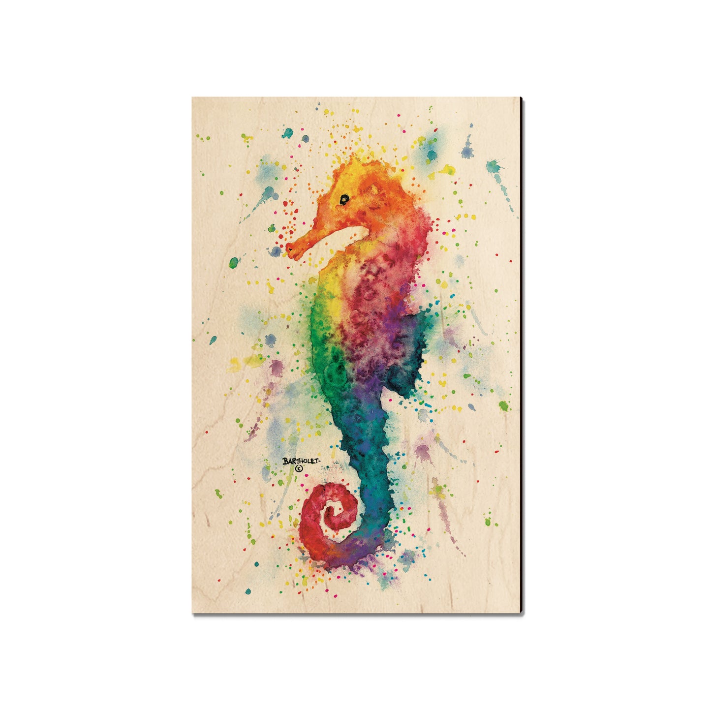Bartholet's One Seahorse - Small Art & Gift Magnet (5pk // $2.40ea)