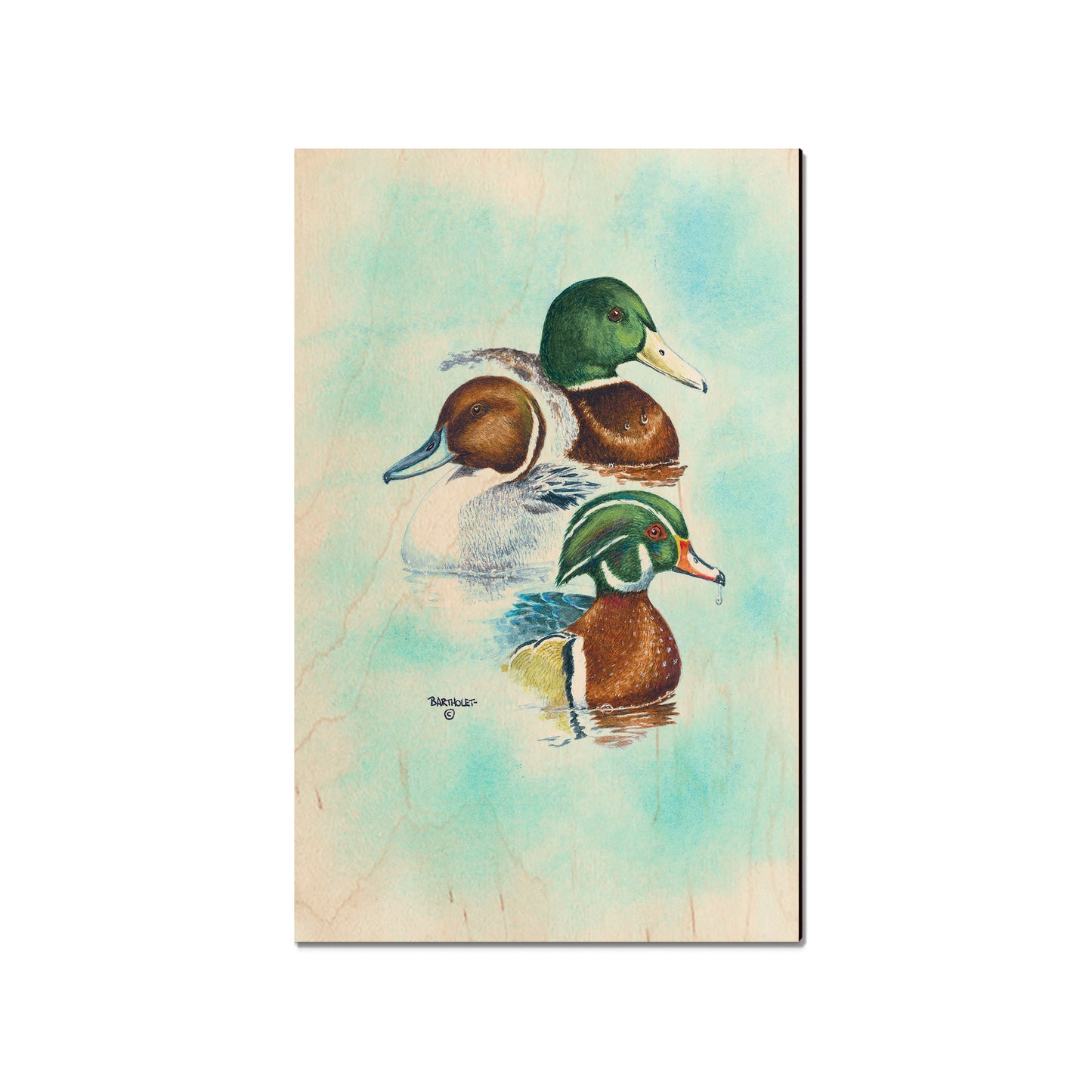 Bartholet's Puddle Duck Trio  - Classic Edge