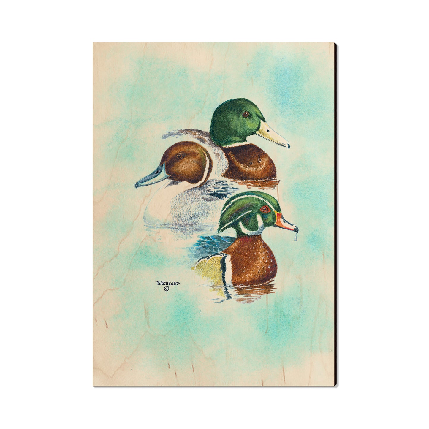 Bartholet's Puddle Duck Trio  - Classic Edge