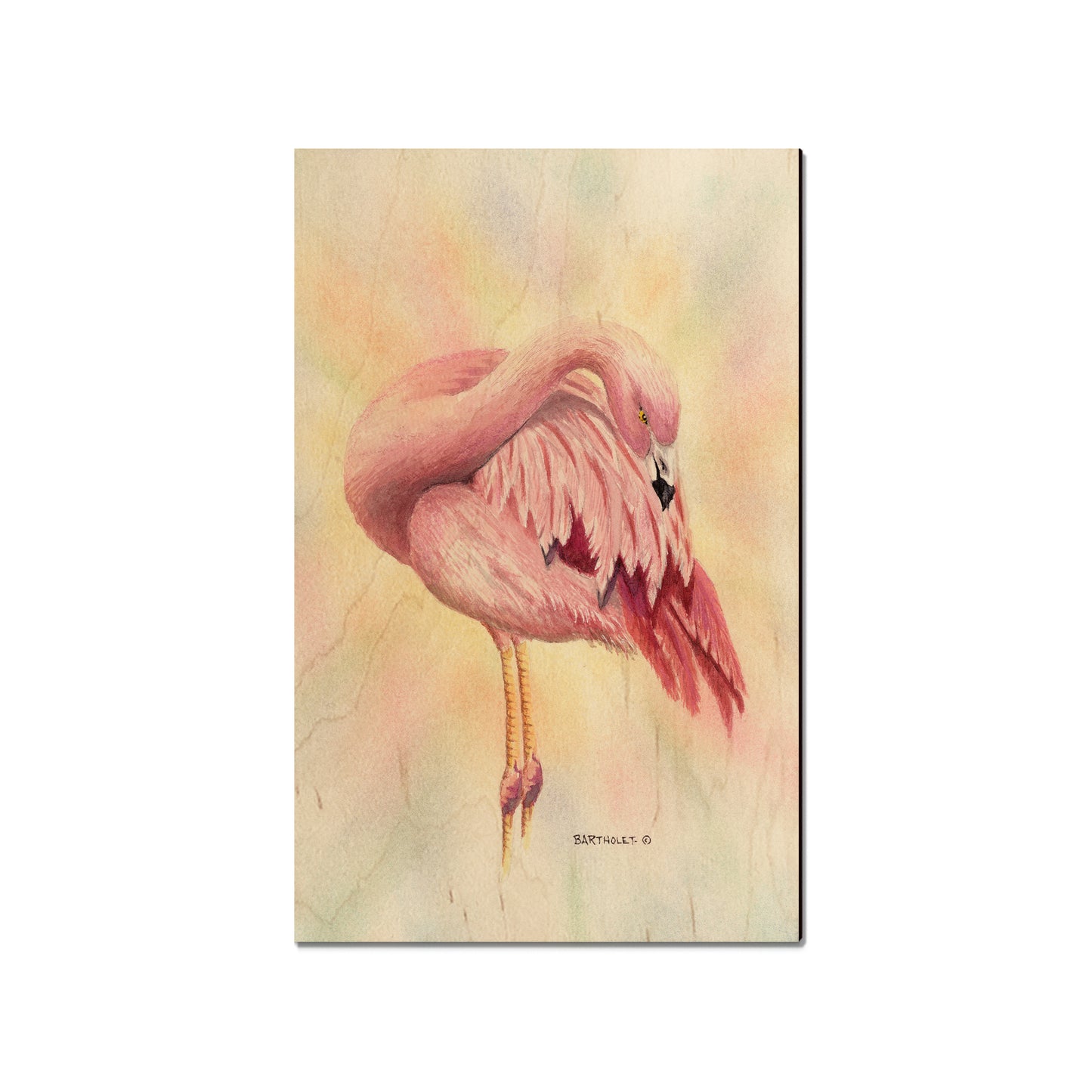 Bartholet's Pink Flamingo - Small Art & Gift Magnet (5pk // $2.40ea)