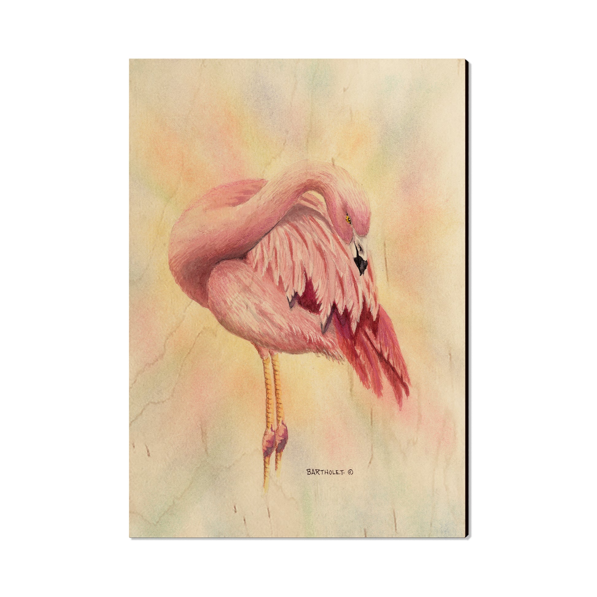Bartholet's Pink Flamingo - Small Art & Gift Postcard (5pk // $2.40ea)