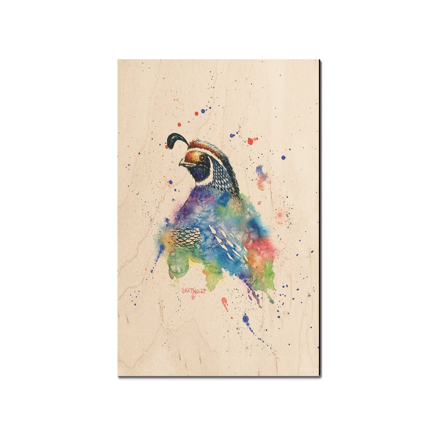 Bartholet's Quail Fantasy  - Classic Edge
