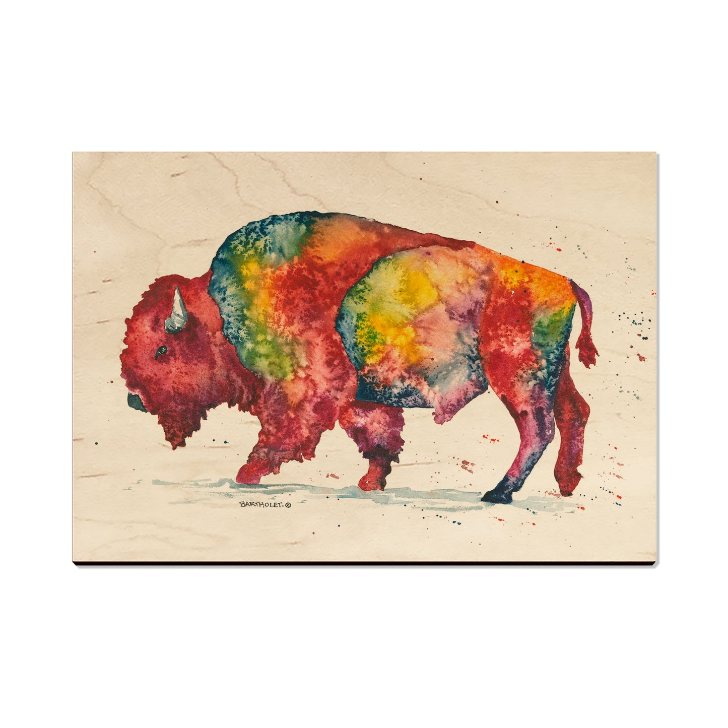 Bartholet's Rainbow Bison  - Classic Edge