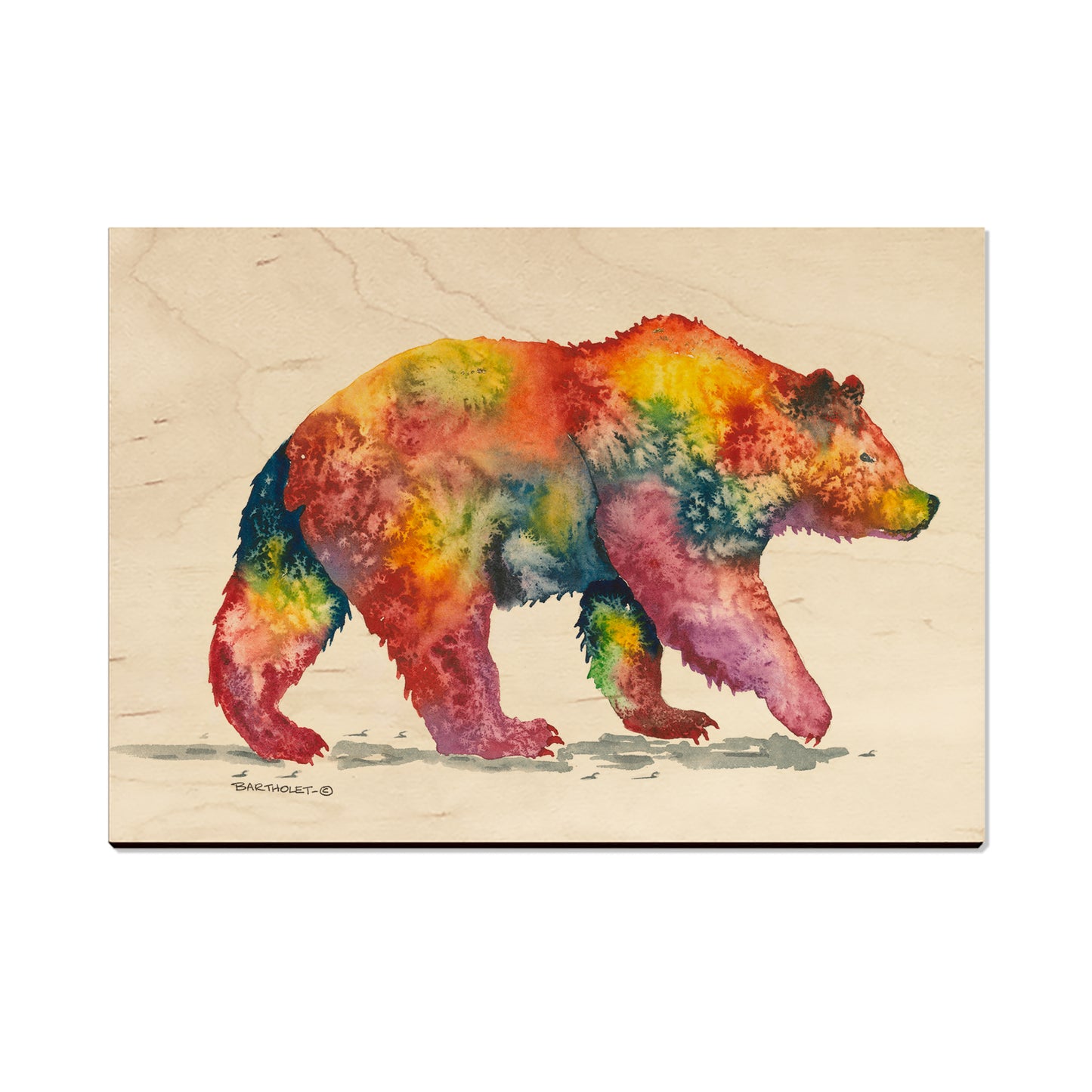Bartholet's Rainbow Grizzly  - Classic Edge