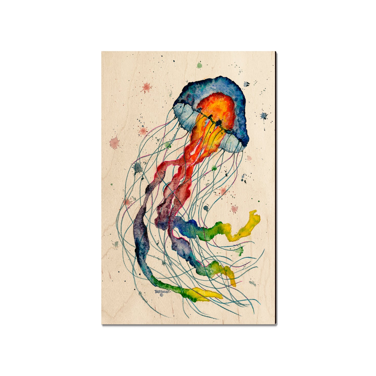 Bartholet's Rainbow Jellyfish  - Classic Edge