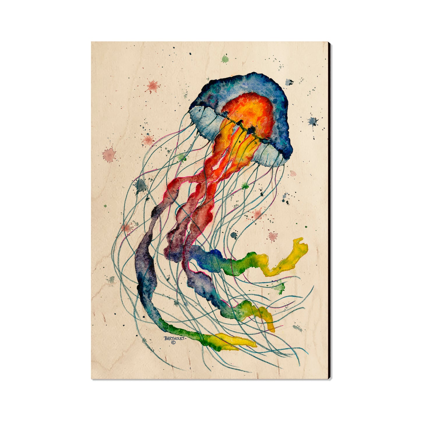 Bartholet's Rainbow Jellyfish  - Classic Edge