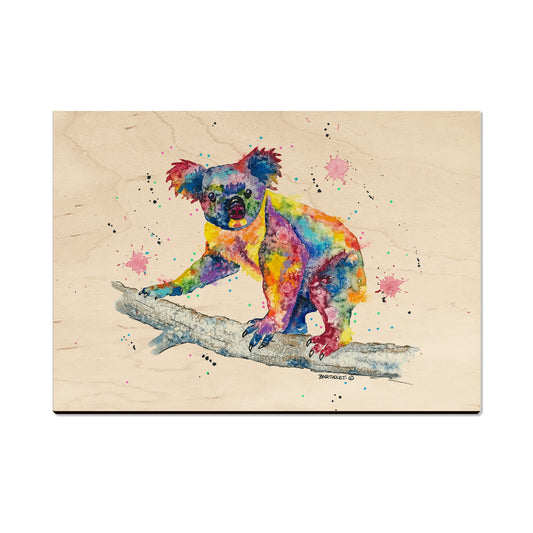 Bartholet's Rainbow Koala  - Classic Edge