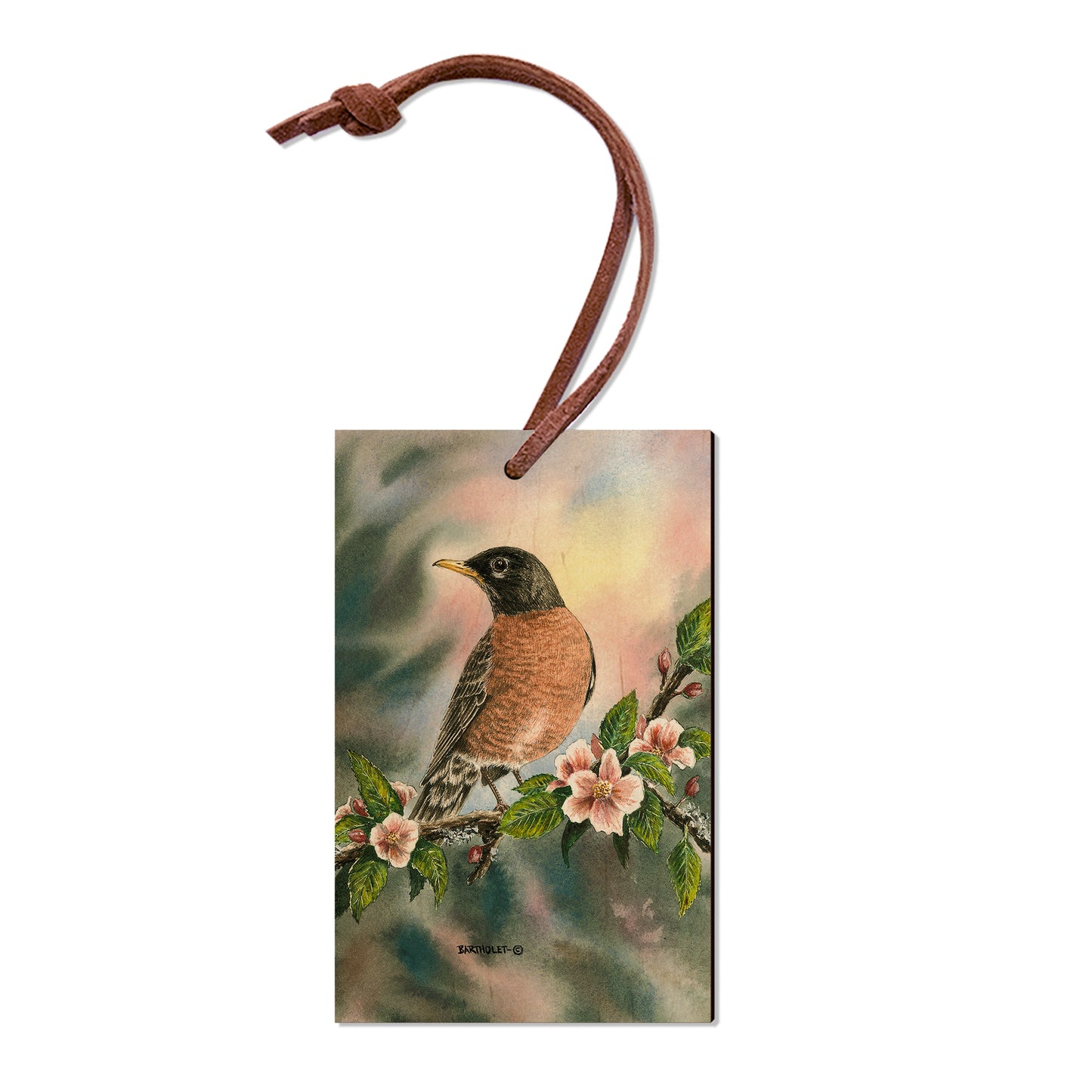 Bartholet's Robin  - Classic Edge