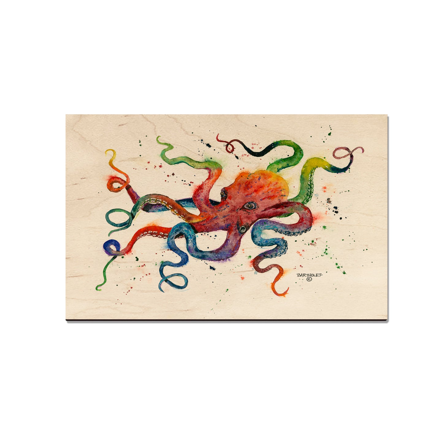 Bartholet's Rainbow Octopus  - Classic Edge