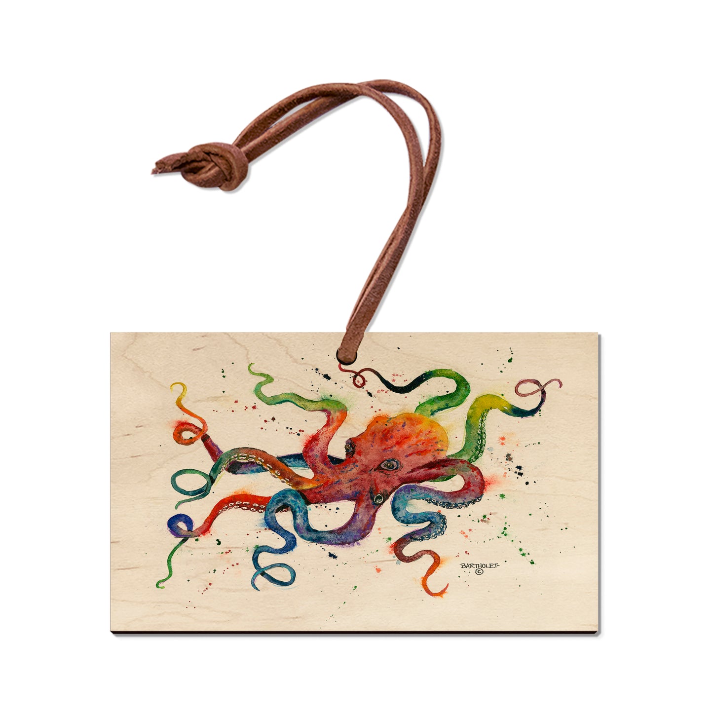 Bartholet's Rainbow Octopus  - Classic Edge