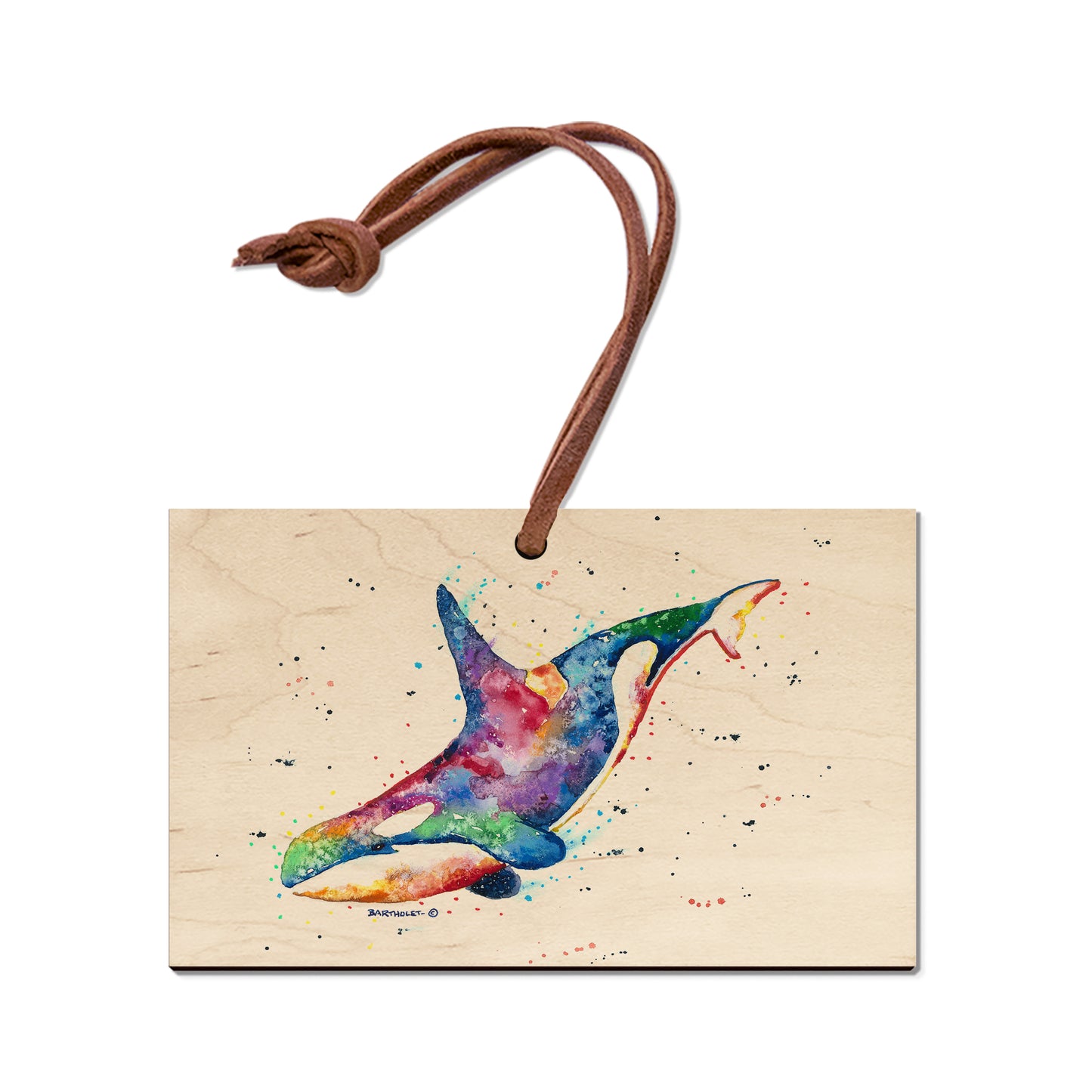 Bartholet's Rainbow Orca  - Classic Edge