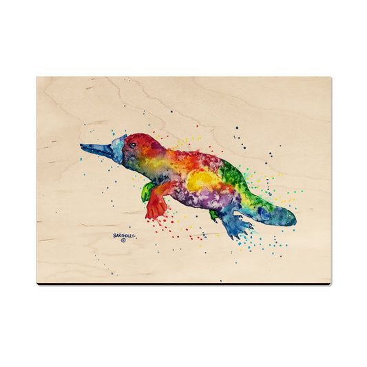 Bartholet's Rainbow Platypus  - Classic Edge