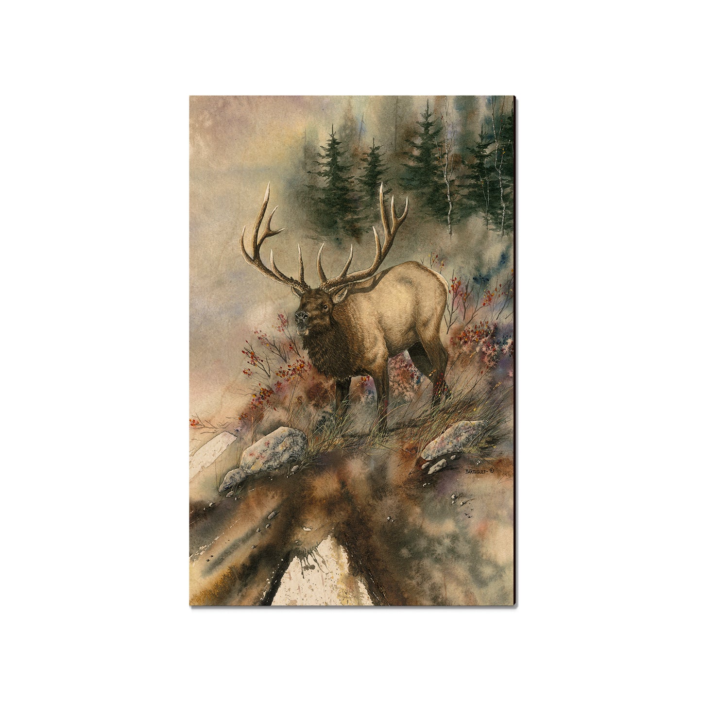 Bartholet's Ridge Runner  - Classic Edge