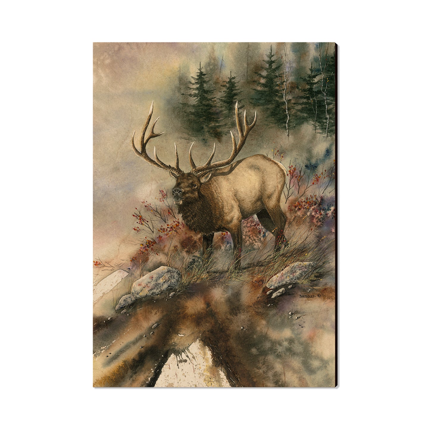 Bartholet's Ridge Runner  - Classic Edge