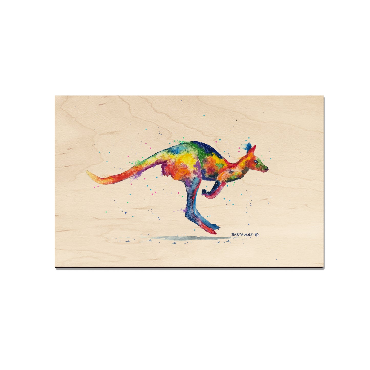 Bartholet's Rainbow Roo  - Classic Edge