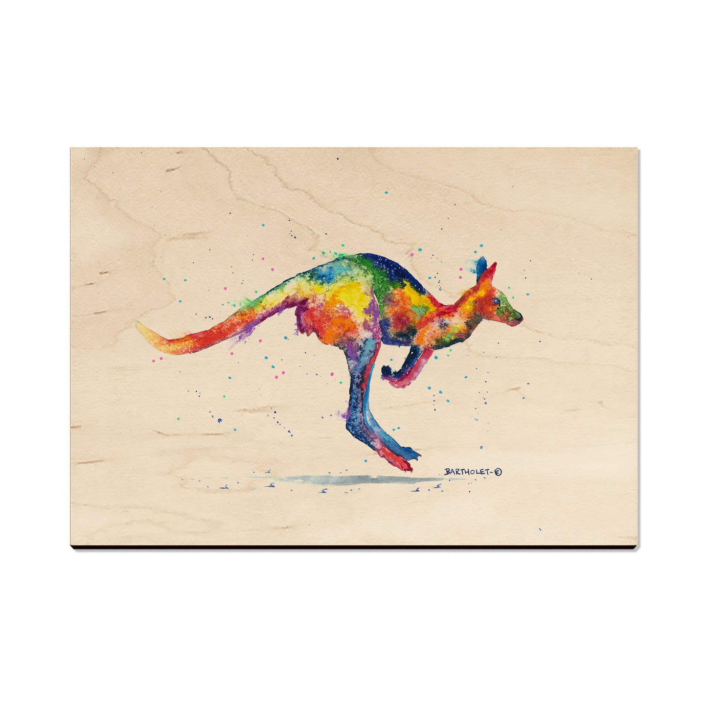 Bartholet's Rainbow Roo  - Classic Edge