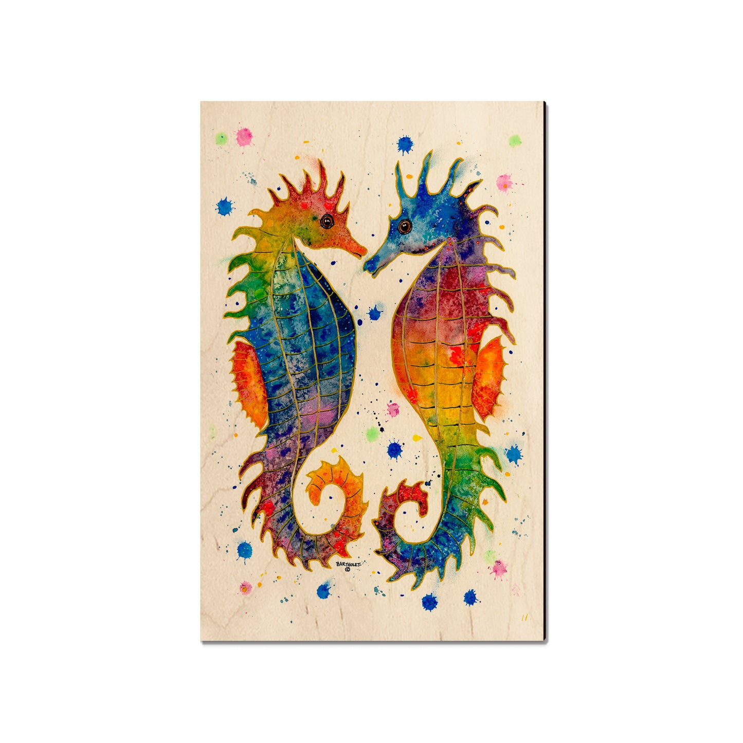 Bartholet's Rainbow Seahorses  - Classic Edge