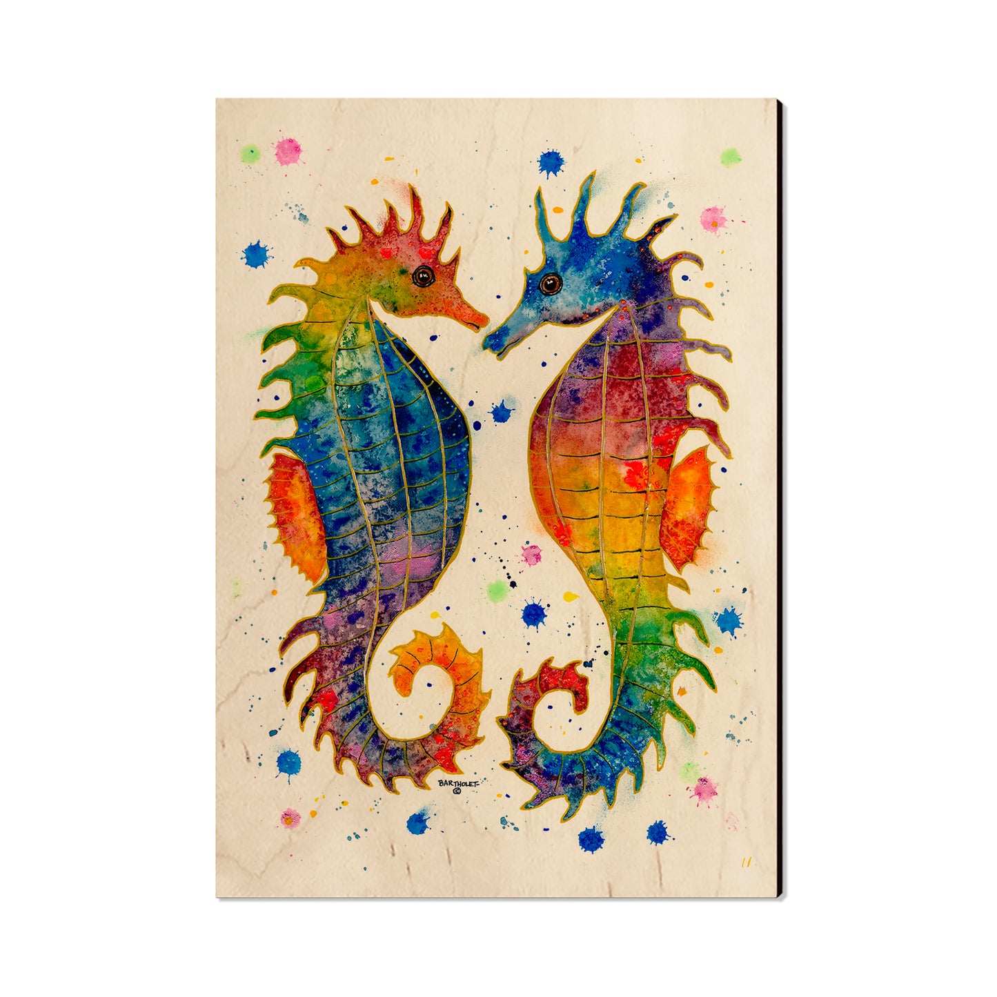 Bartholet's Rainbow Seahorses  - Classic Edge