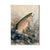 Bartholet's Rainbow Trout  - Classic Edge