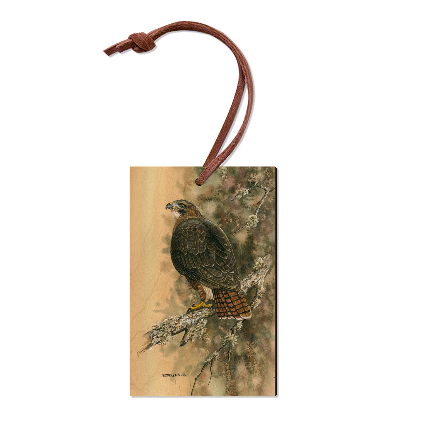 Bartholet's Red Tailed Hawk  - Classic Edge