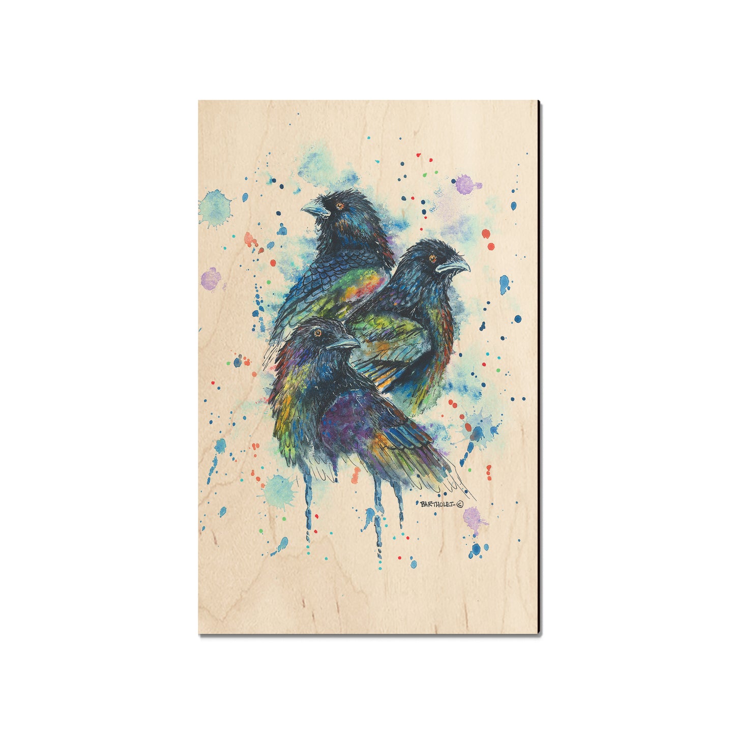 Bartholet's Raven Trio  - Classic Edge