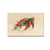 Bartholet's Rainbow Turtle - Small Art & Gift Magnet (5pk // $2.40ea)