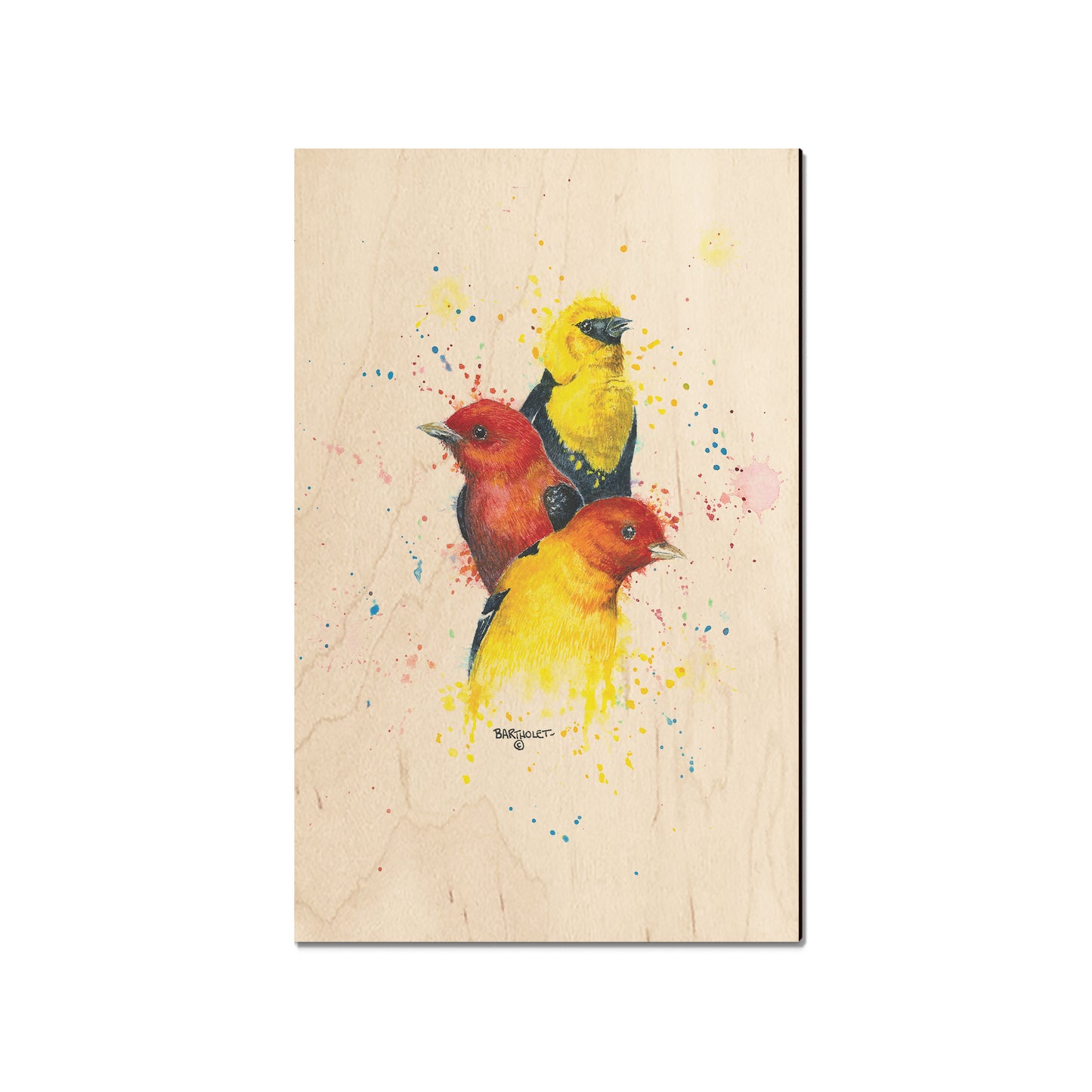 Bartholet's Songbird Trio II  - Classic Edge