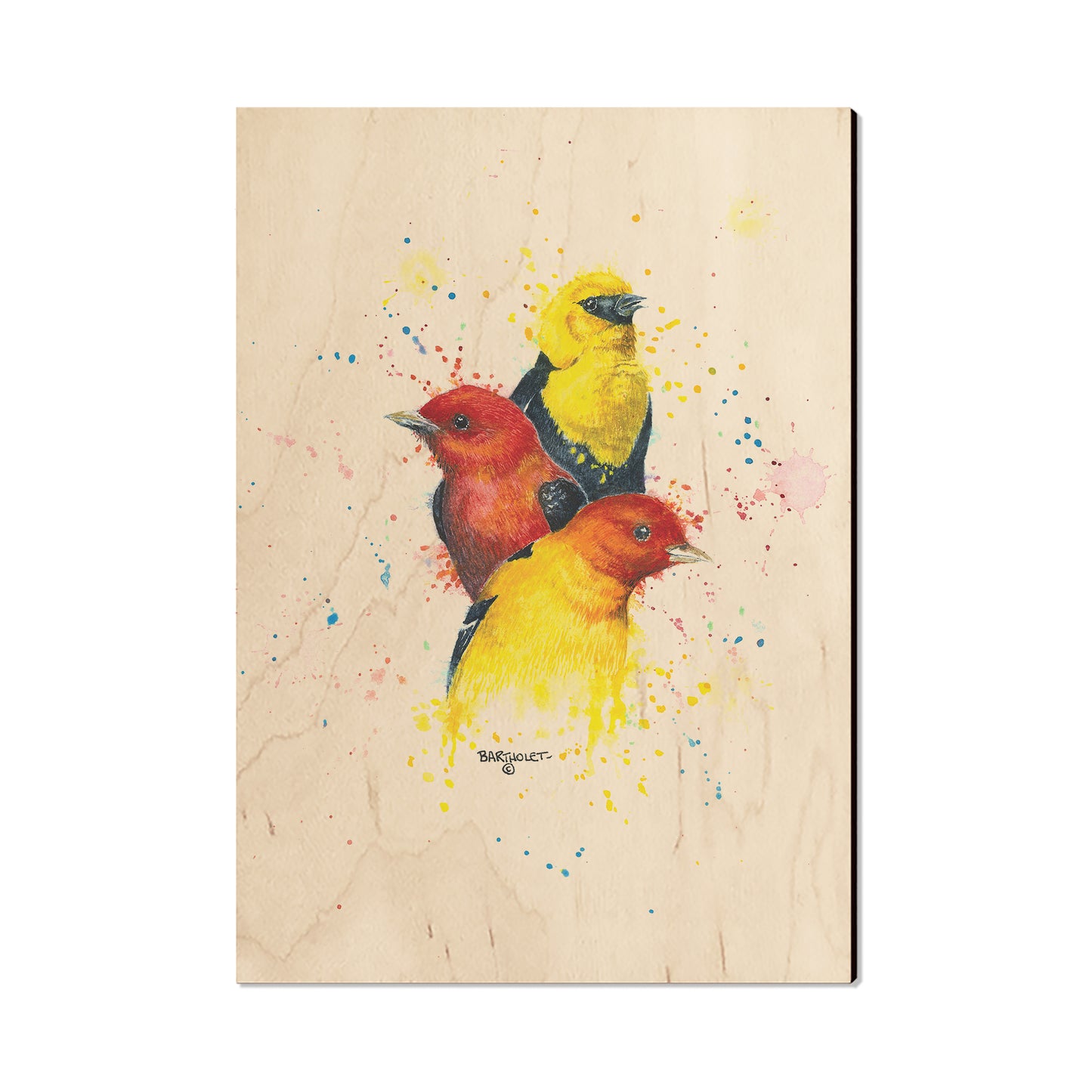 Bartholet's Songbird Trio II  - Classic Edge