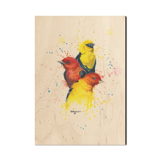 Bartholet's Songbird Trio II  - Classic Edge