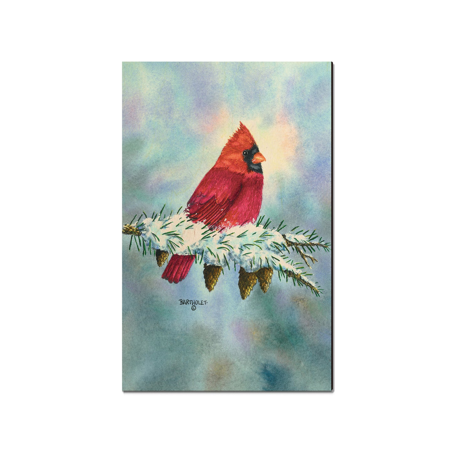 Bartholet's Scarlett Delight  - Classic Edge