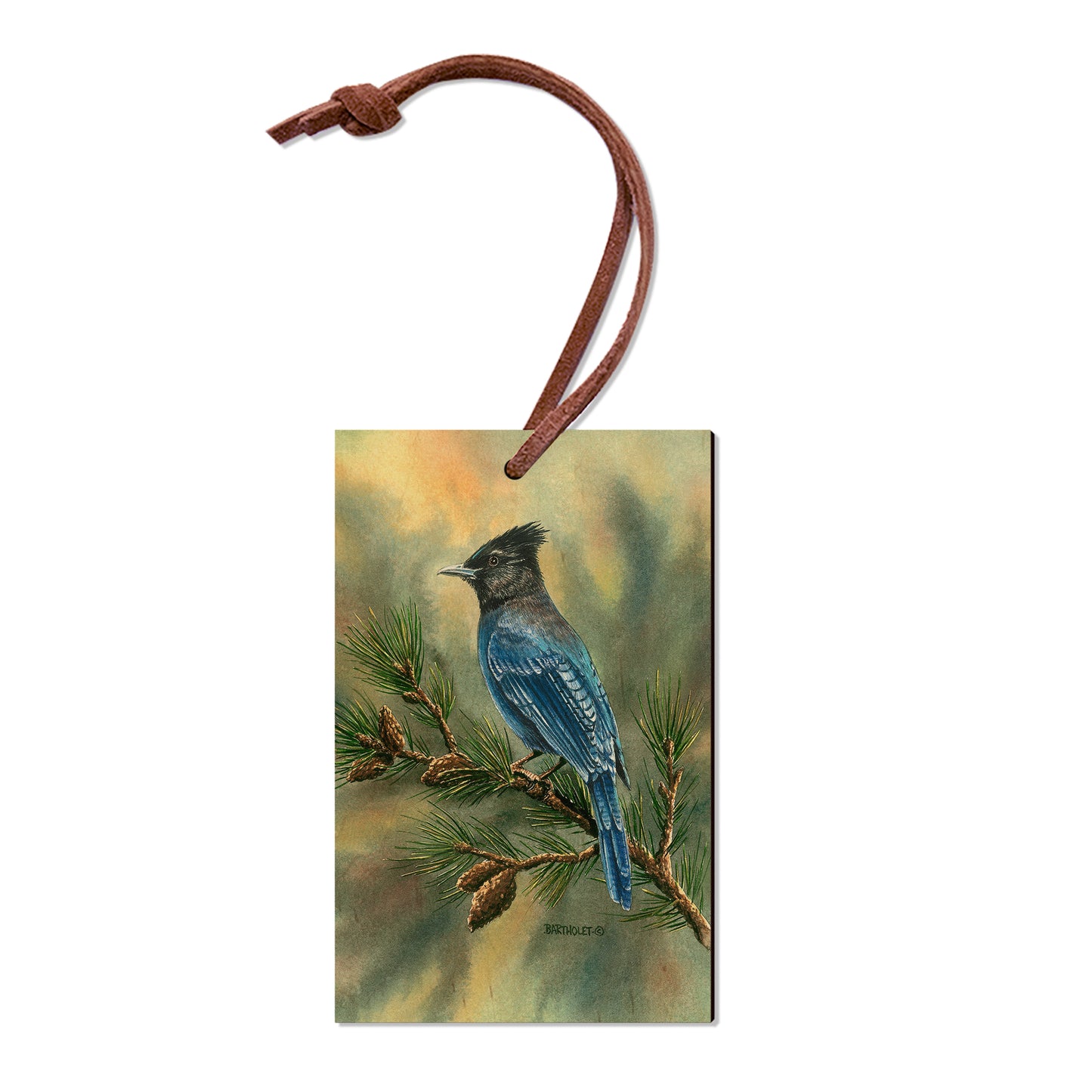 Bartholet's Steller's Jay  - Classic Edge