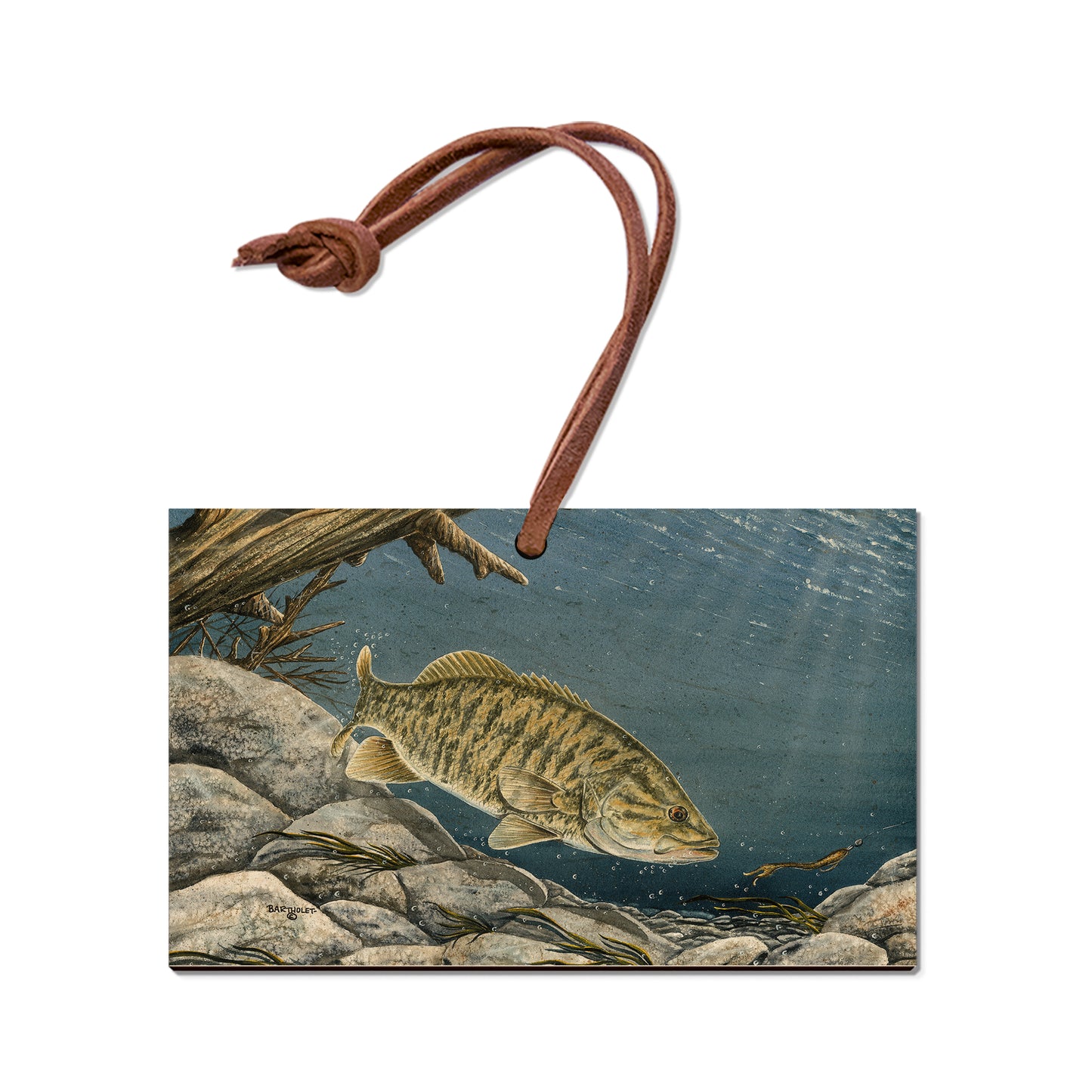 Bartholet's Smallie  - Classic Edge