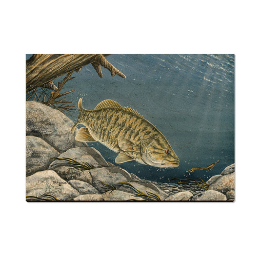 Bartholet's Smallie  - Classic Edge