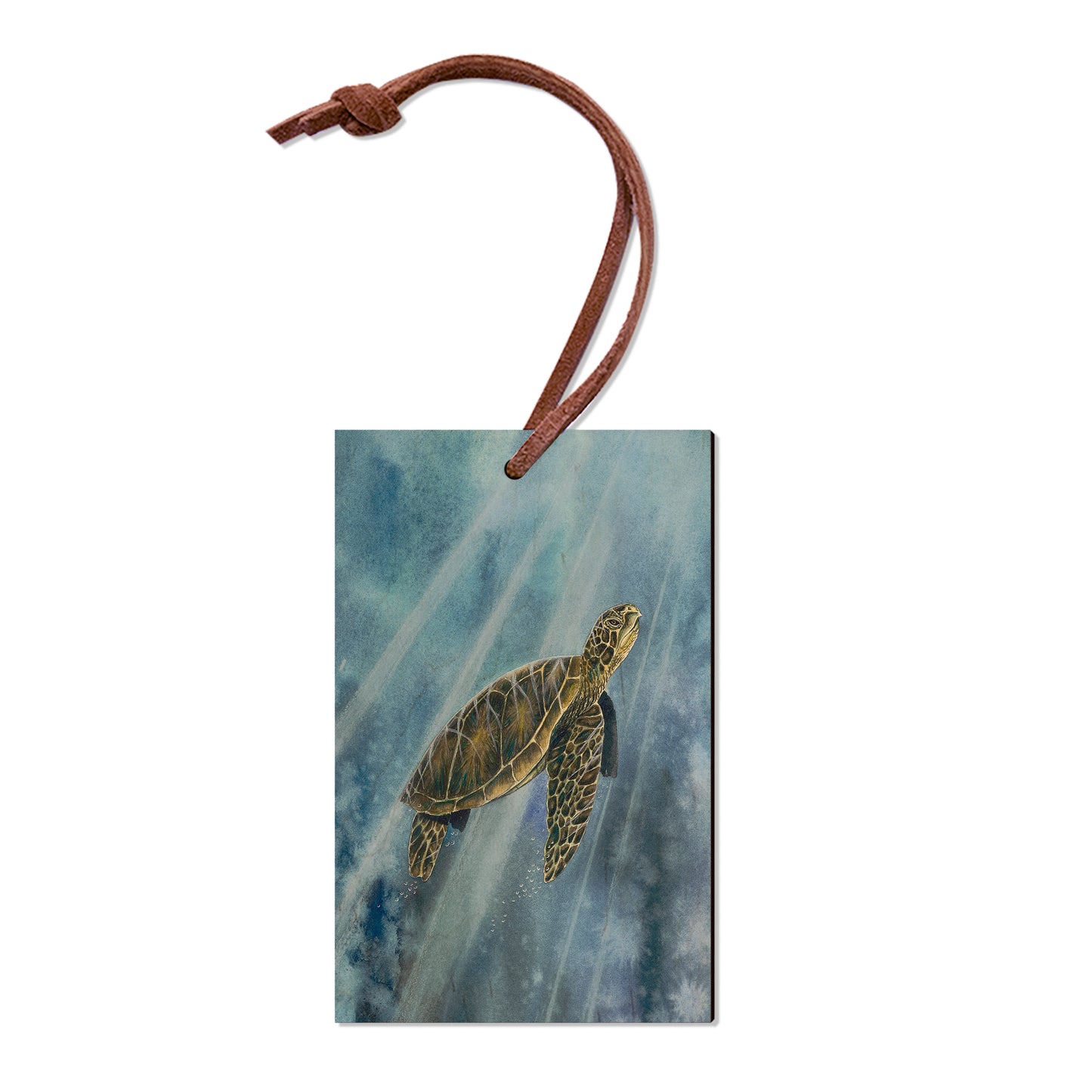 Bartholet's Sea Turtle  - Classic Edge