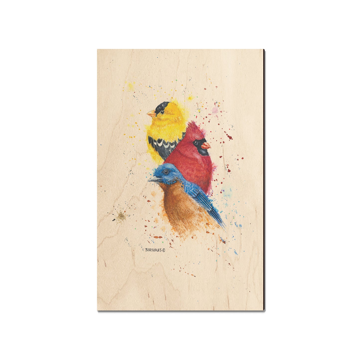 Bartholet's Songbird Trio I   - Classic Edge
