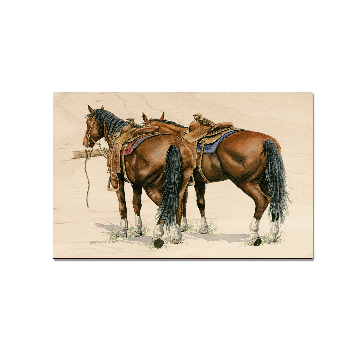 Bartholet's Saddle Up  - Classic Edge