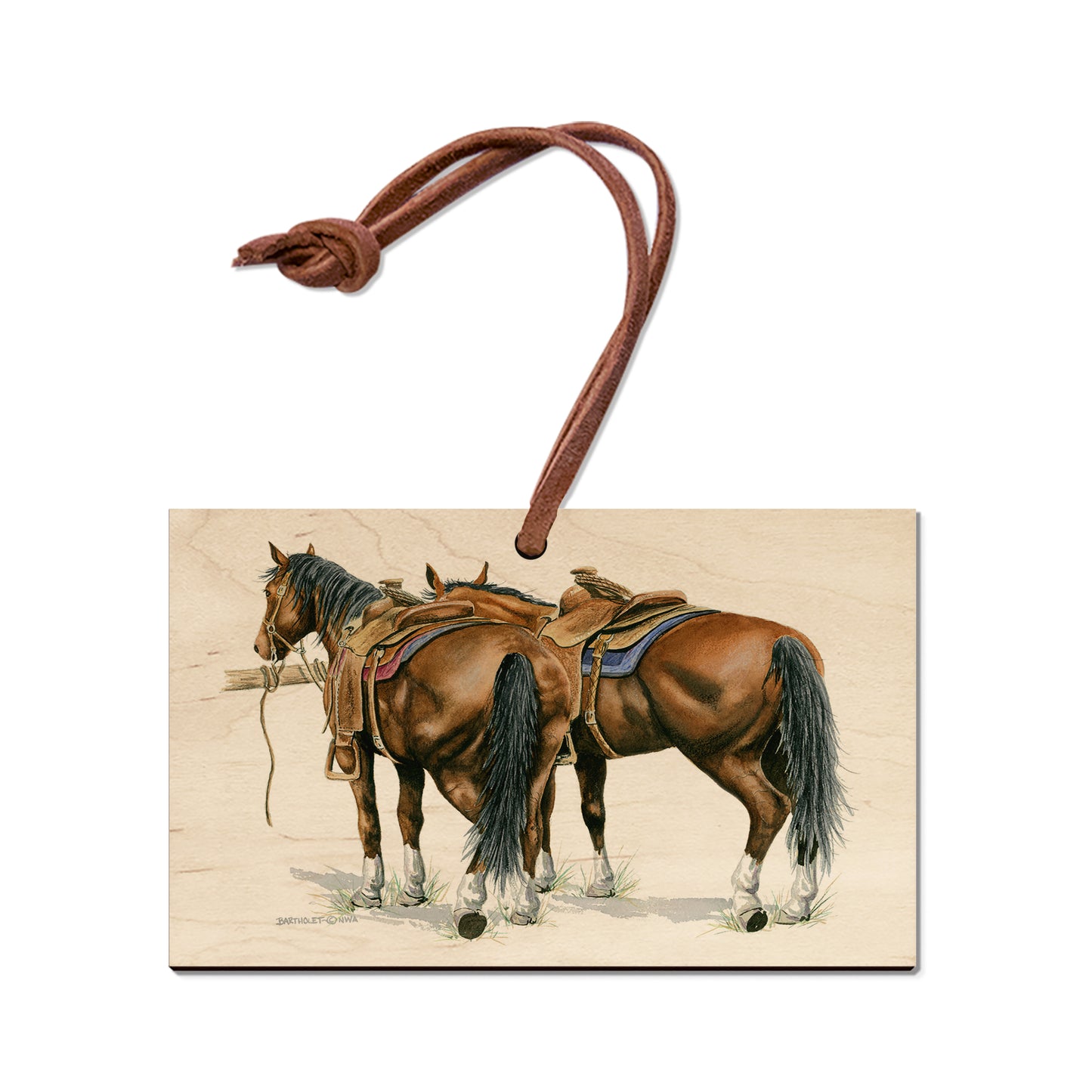 Bartholet's Saddle Up  - Classic Edge