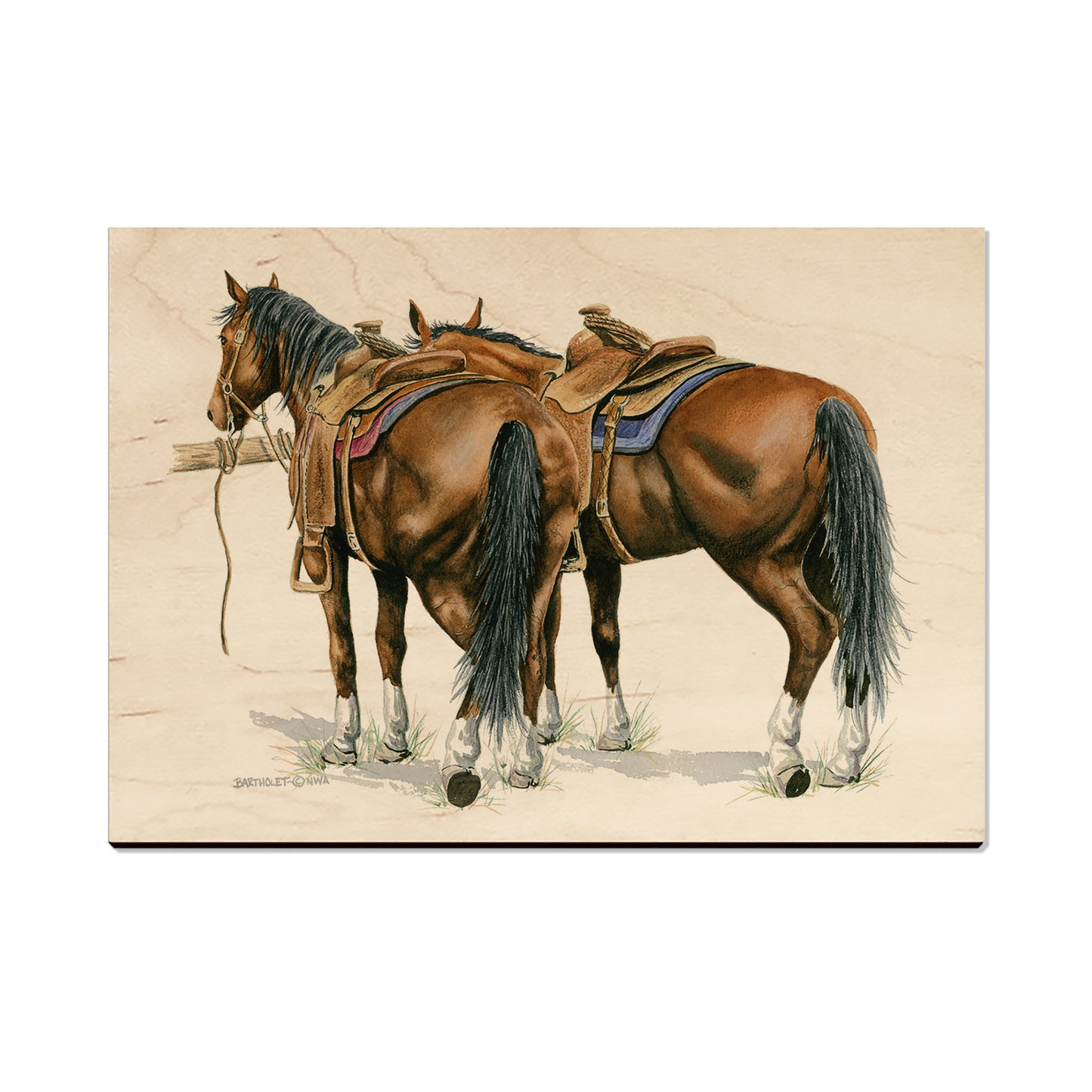 Bartholet's Saddle Up  - Classic Edge
