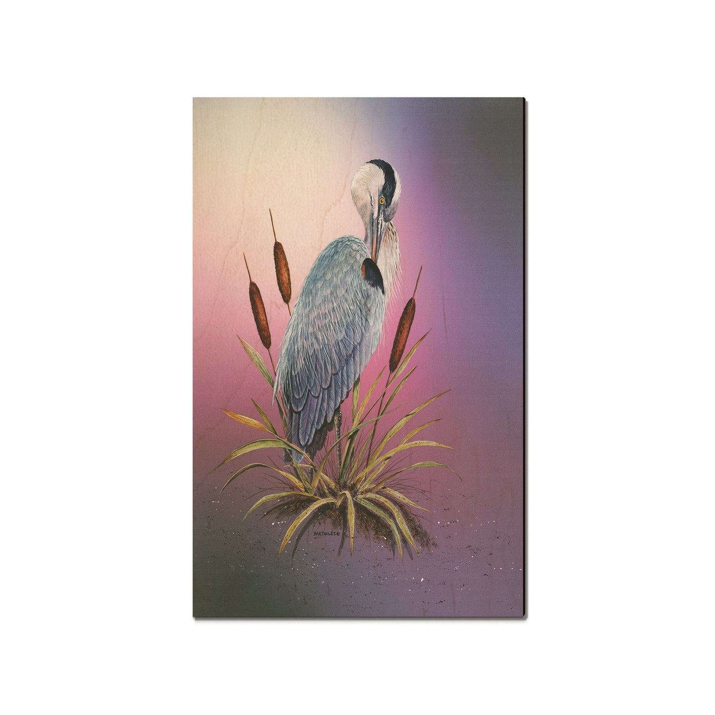 Bartholet's Sunset Heron  - Classic Edge