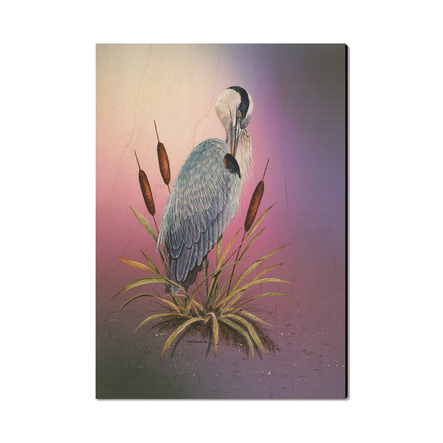 Bartholet's Sunset Heron  - Classic Edge