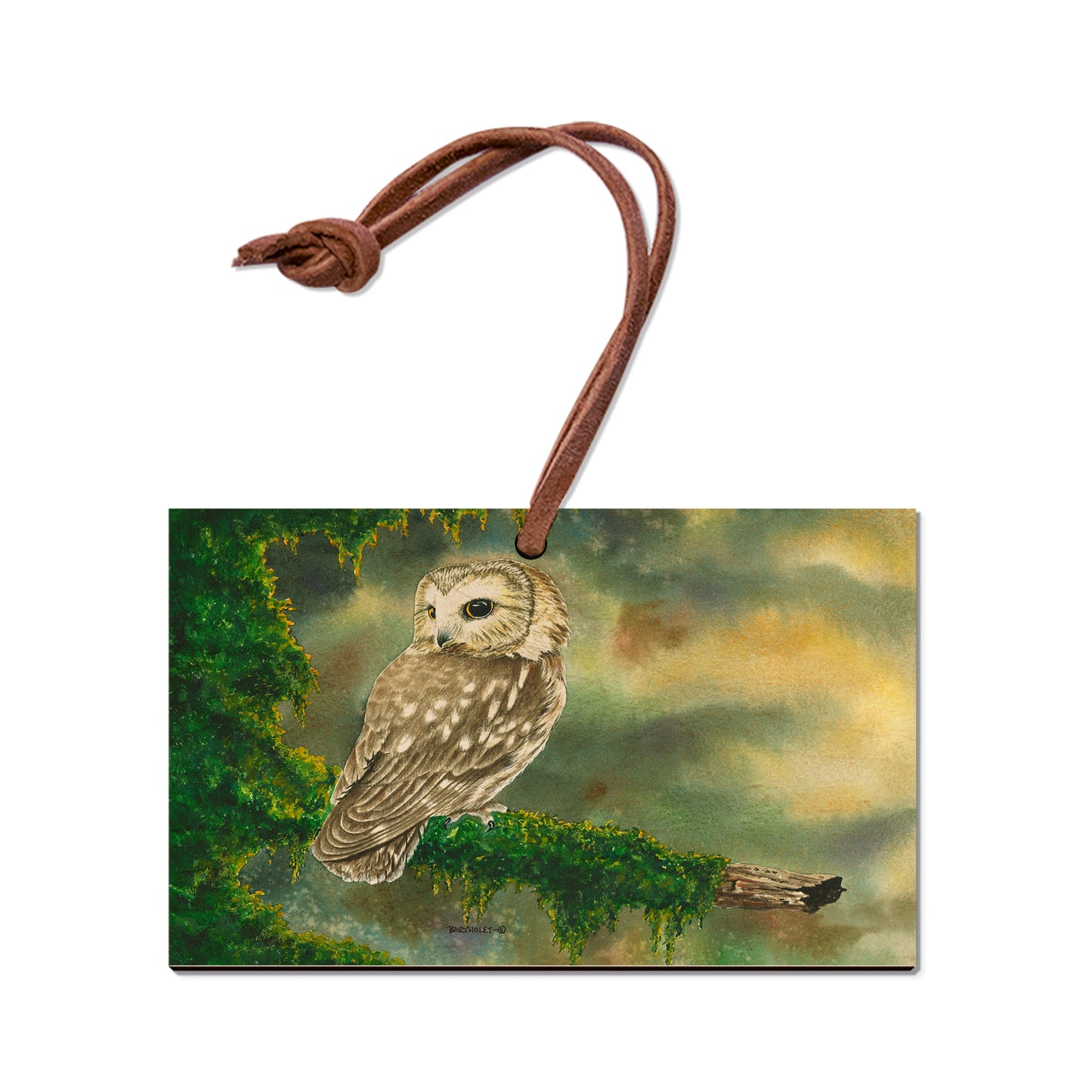 Bartholet's Saw Whet  - Classic Edge
